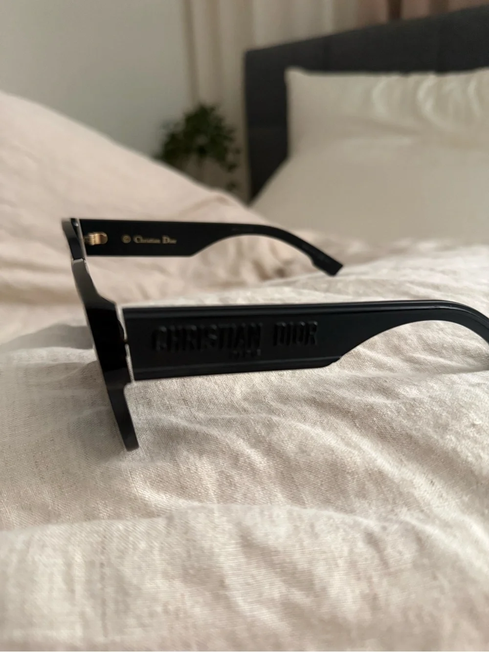Dior wildior bu